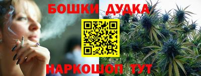 крисы Тверь