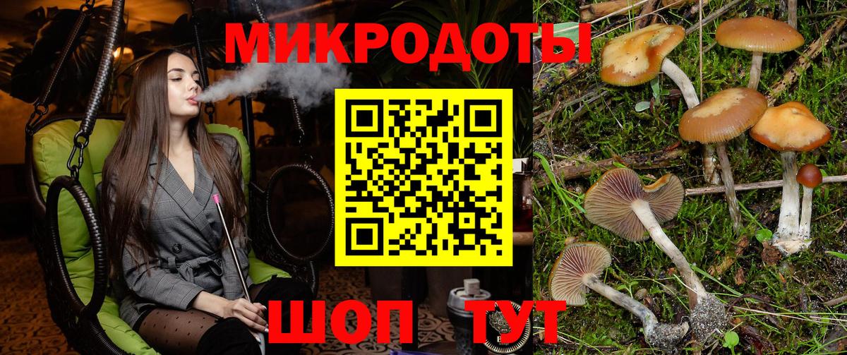 Псилоцибиновые грибы MAGIC MUSHROOMS Алатырь