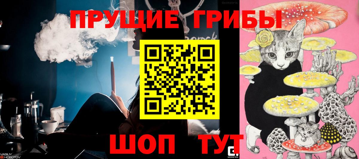 Галлюциногенные грибы Magic Shrooms  Вход с VPN  Алатырь 